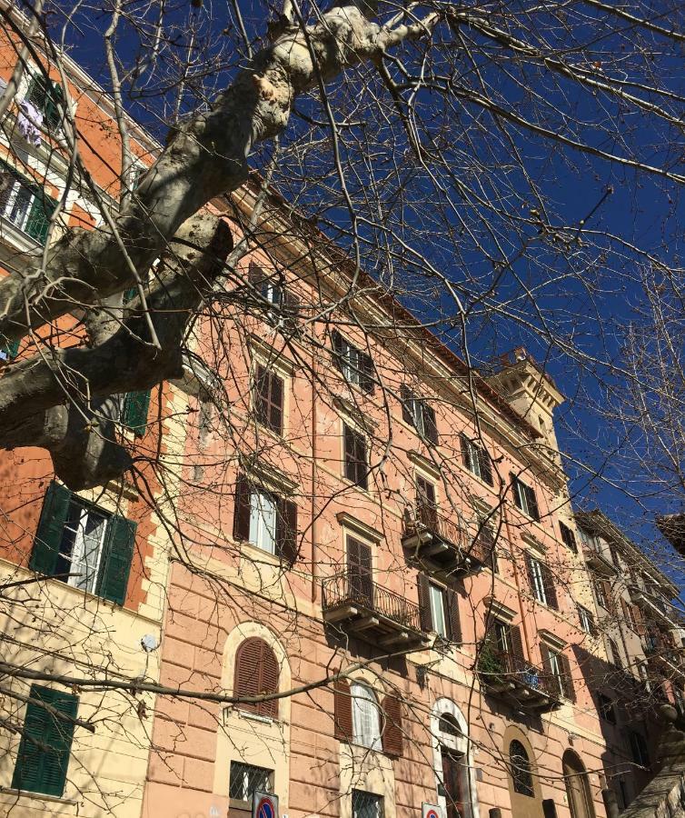 B&B Theodora Frascati Exterior photo